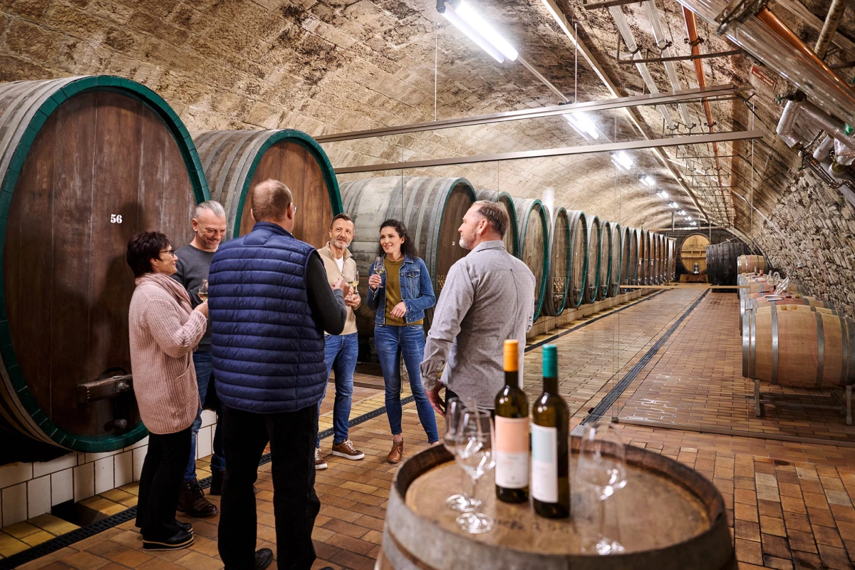 <p style="text-align:center;"><strong>Filmpaket</strong><br>„EXKLUSIV“ </p>