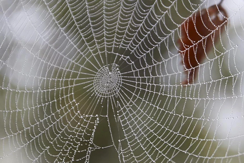 <p style="text-align:center;"><strong>Digitalpaket</strong><br>„Webdesign & mehr“</p> <p style="text-align:center;"><strong>Digitalpaket</strong><br>„Webdesign & mehr“</p>